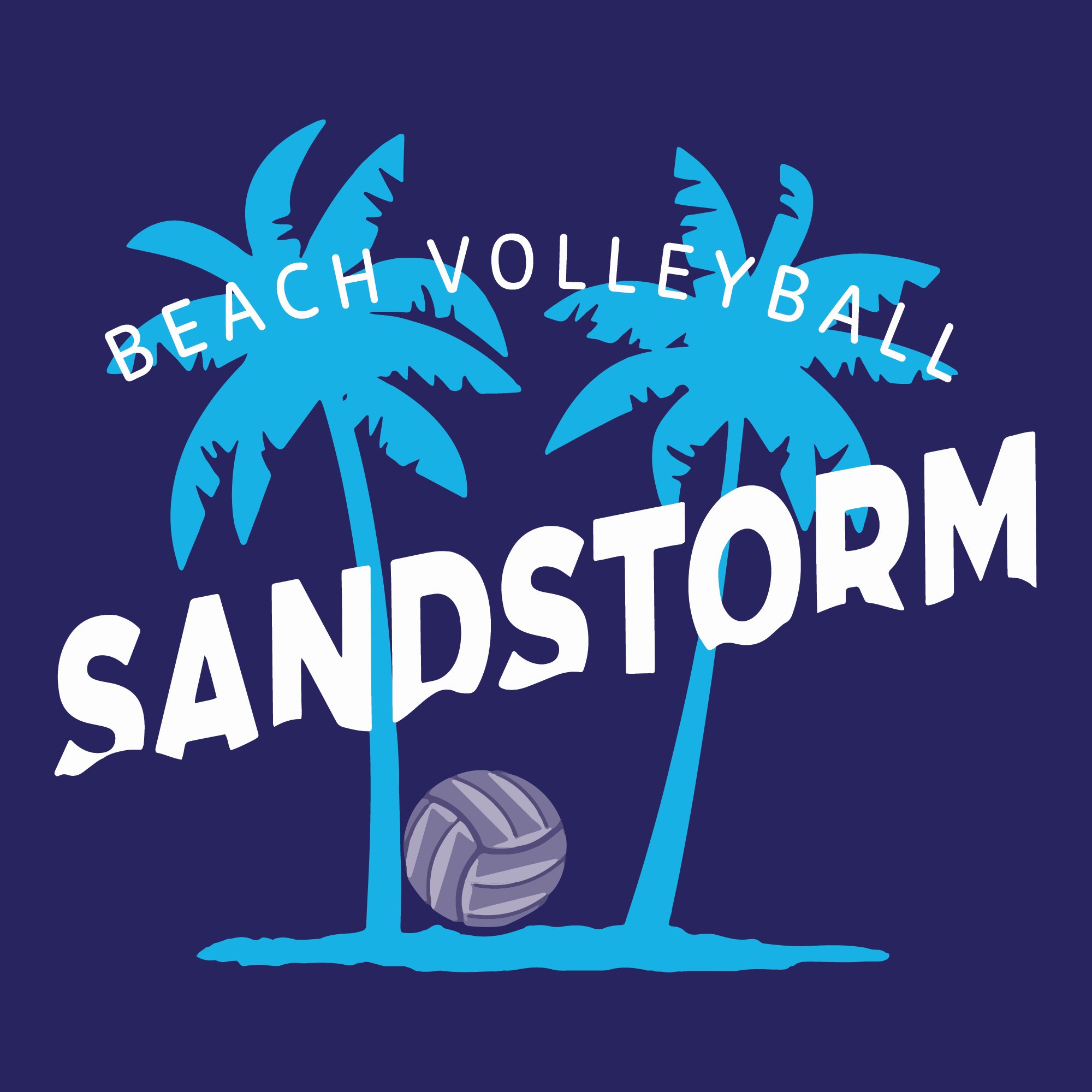 Sandstorm Beach Volleyball